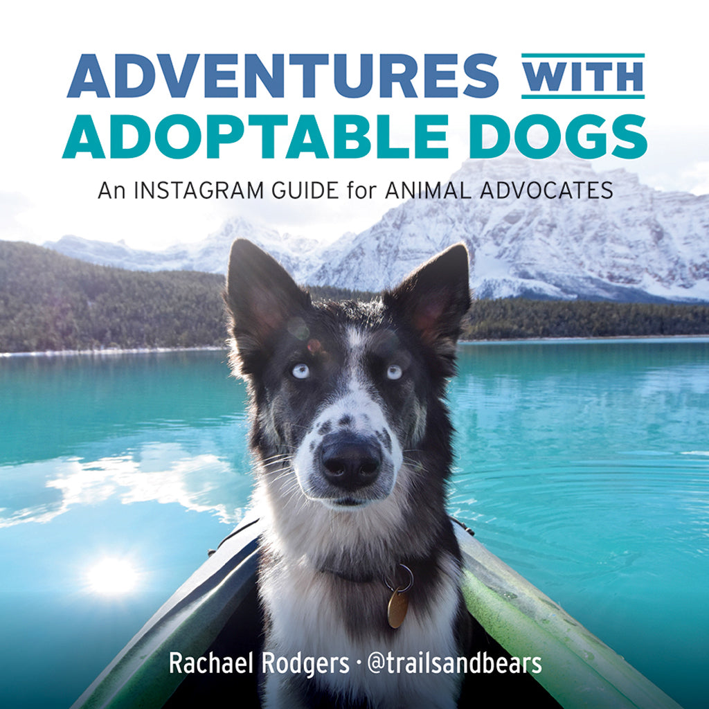 Adventures with Adoptable Dogs – Heritage Group Distribution
