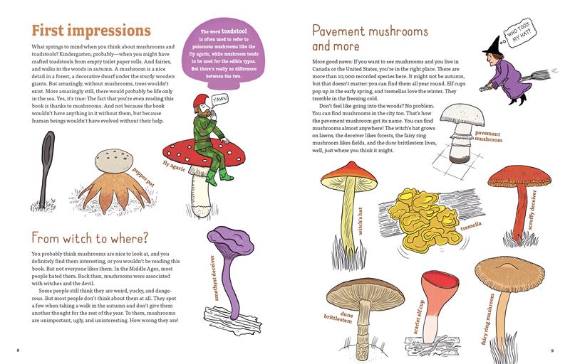 Mushrooms and Company