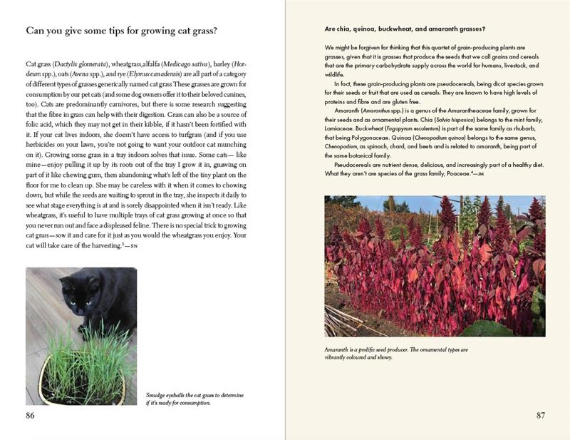 The Prairie Gardener’s Go-To for Grasses