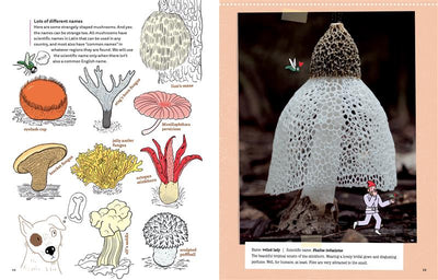 Mushrooms and Company