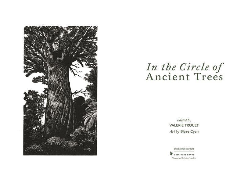 In the Circle of Ancient Trees