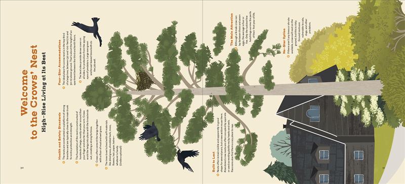 How to Know a Crow