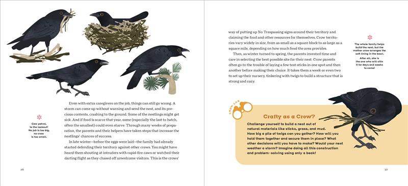 How to Know a Crow