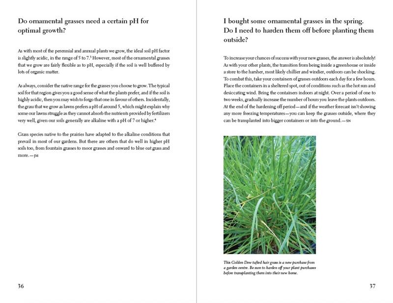 The Prairie Gardener’s Go-To for Grasses