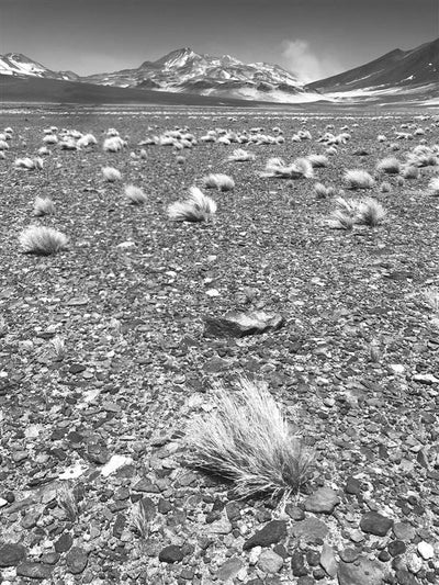 Mars on Earth