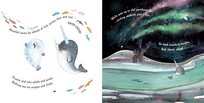 Little Narwhal, Not Alone