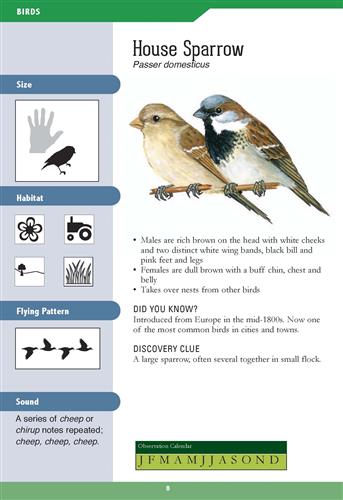 East Coast Backyard Nature Guide