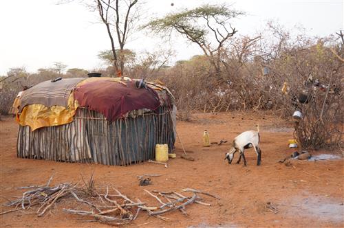 Tracking Lions, Myth, and Wilderness in Samburu