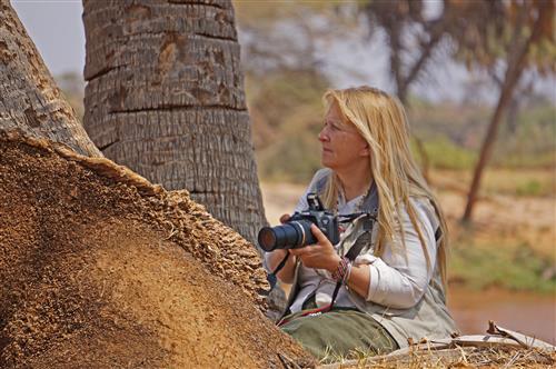 Tracking Lions, Myth, and Wilderness in Samburu