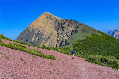 Popular Day Hikes: Waterton