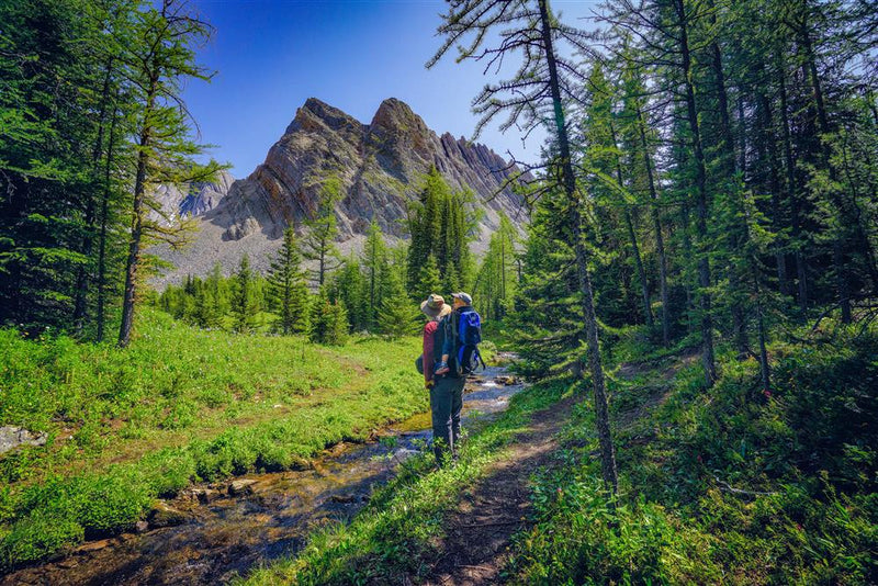 Family Walks & Hikes Canadian Rockies: 2nd Edition, Volume 1