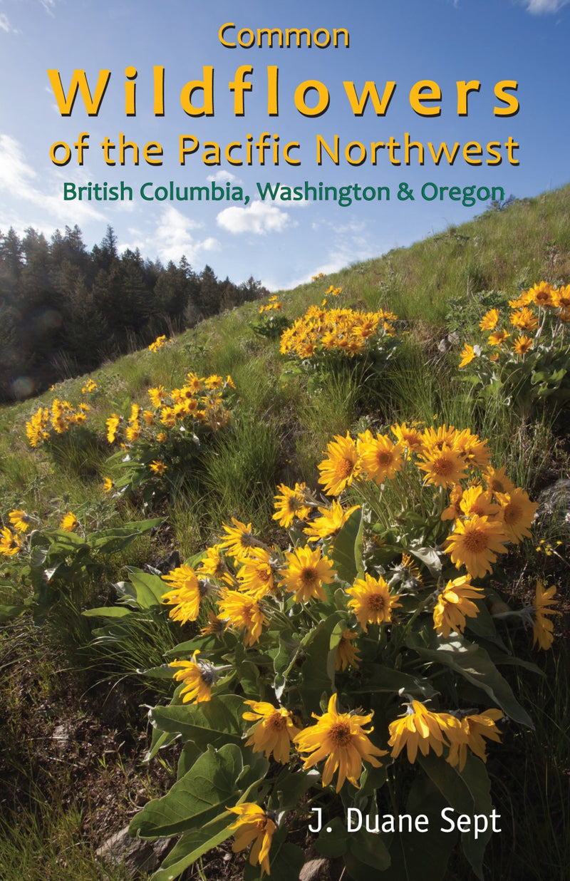 Common Wildflowers of the Pacific Northwest