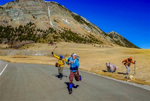 Popular Day Hikes: Waterton