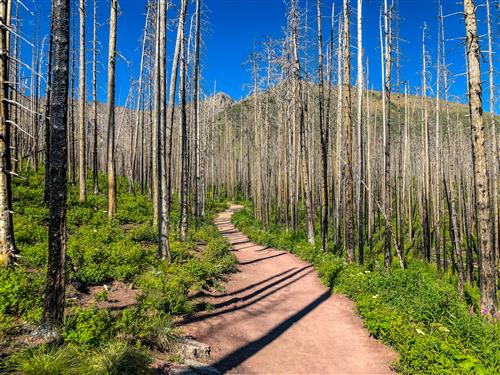 Popular Day Hikes: Waterton