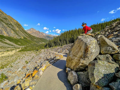 Family Walks &amp; Hikes Canadian Rockies: 2nd Edition, Volume 2