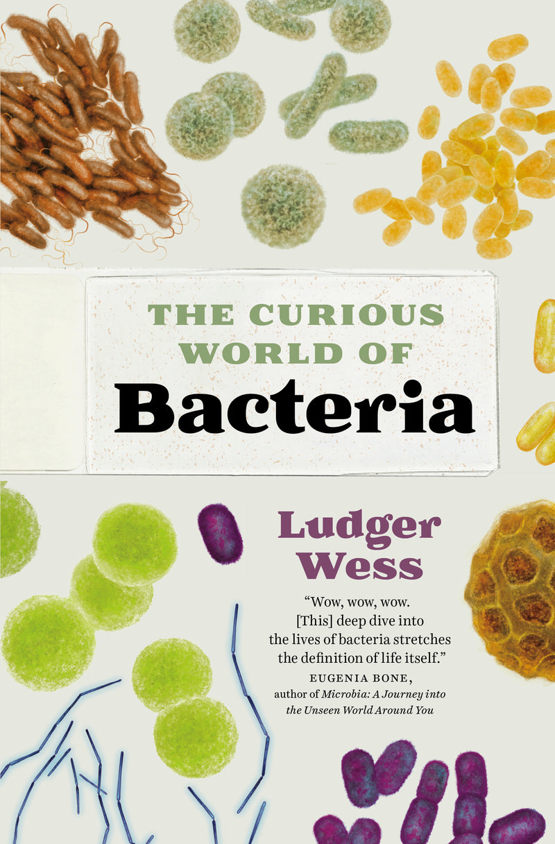 The Curious World of Bacteria