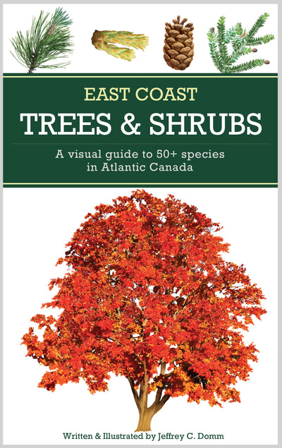 East Coast Trees and Shrubs
