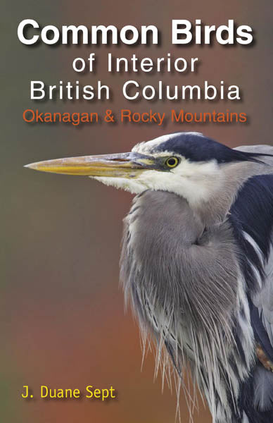 Common Birds of Interior British Columbia