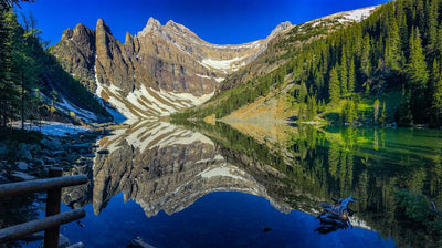 Family Walks &amp; Hikes Canadian Rockies: 2nd Edition, Volume 2