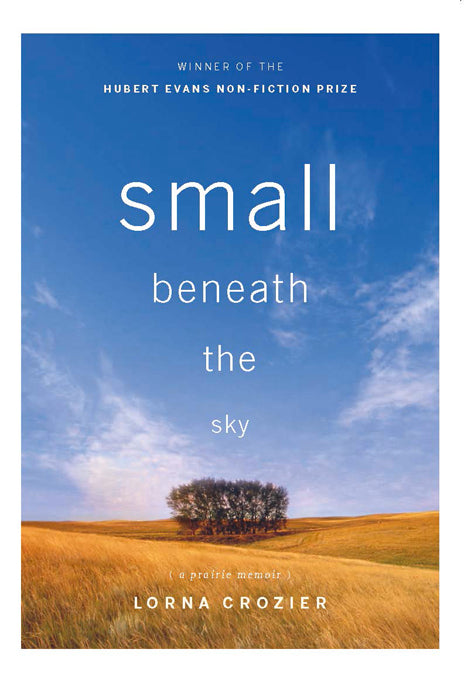 Small Beneath the Sky
