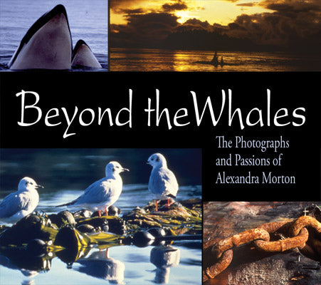 Beyond the Whales