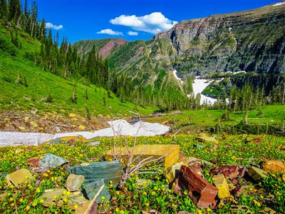 Popular Day Hikes: Waterton