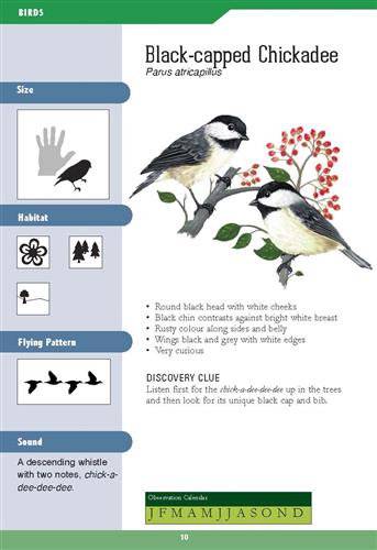 East Coast Backyard Nature Guide