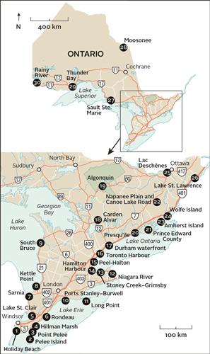 Best Places to Bird in Ontario