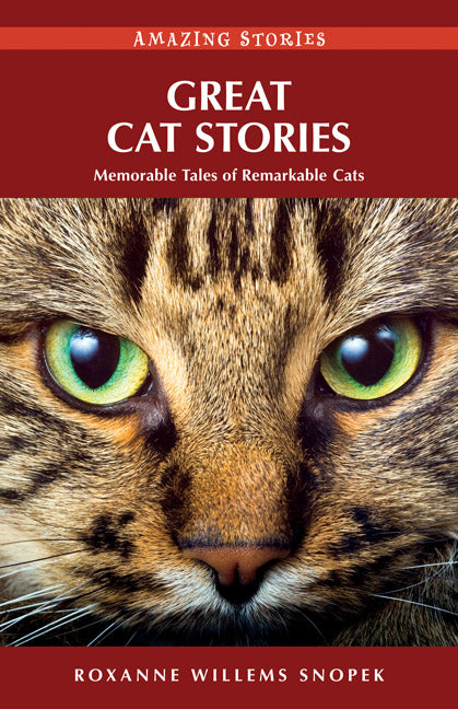 Great Cat Stories