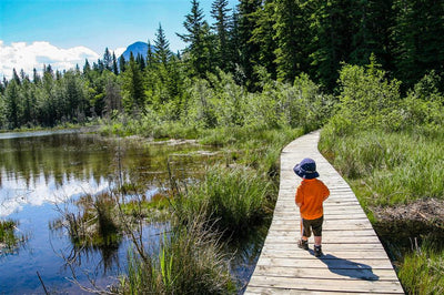 Family Walks & Hikes Canadian Rockies: 2nd Edition, Volume 1